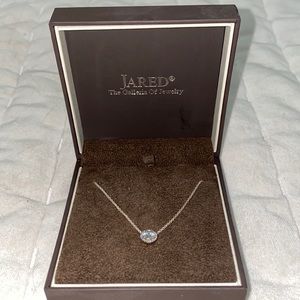 Pandora Halo Necklace